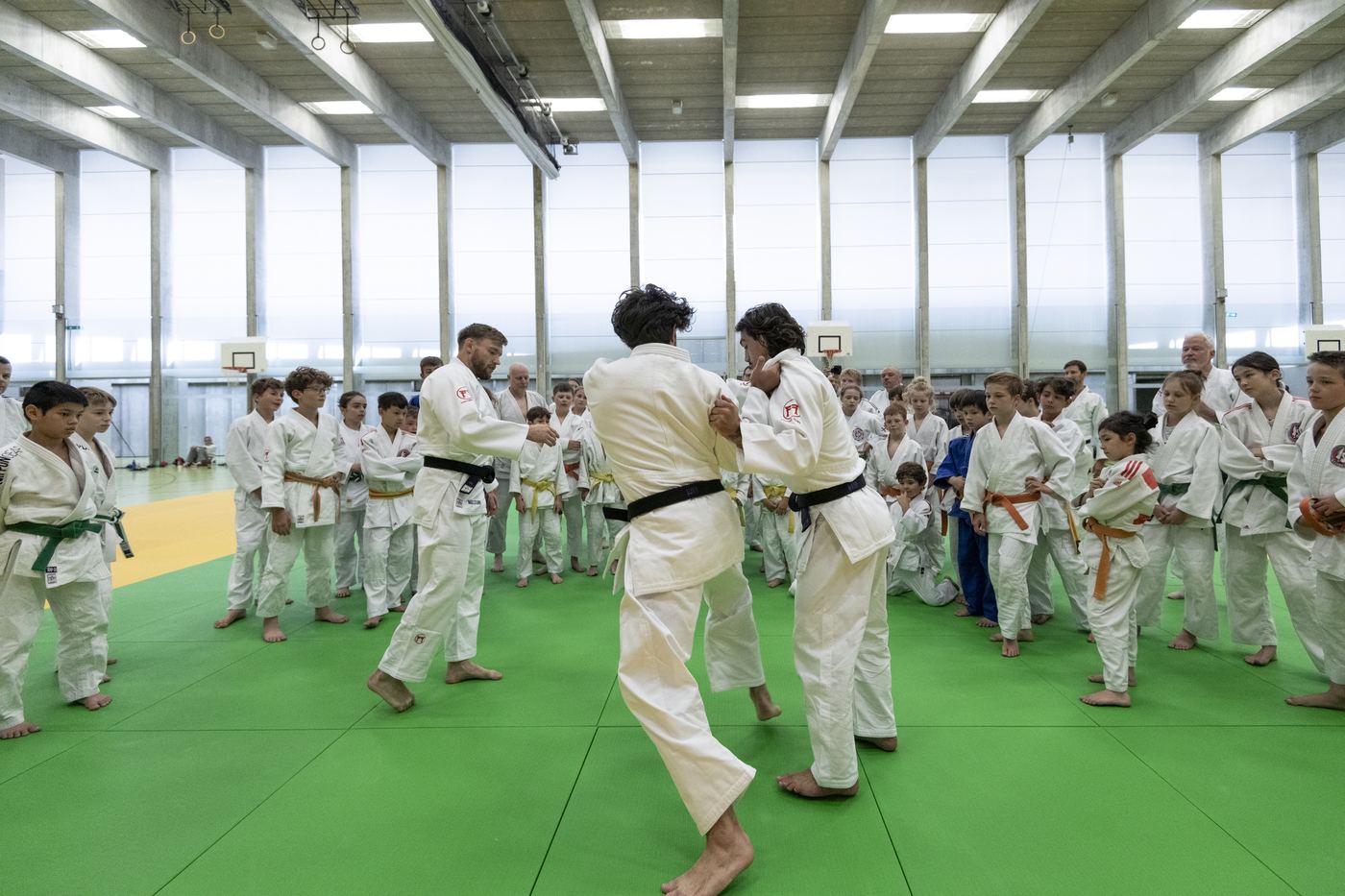 Impression von einem Torio Judo-Event 3